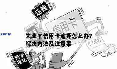 信用卡逾期失业怎么办？全面指南助您解决还款难题与生活压力