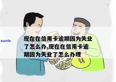 信用卡逾期失业怎么办？全面指南助您解决还款难题与生活压力