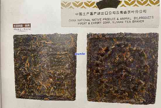 92年珍藏版勐海老班章方砖茶：品质越的历传承