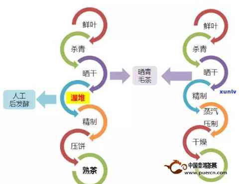 探索云南老班章熟茶的全面功效与作用：解密这款茶叶的健益处与品饮 *** 