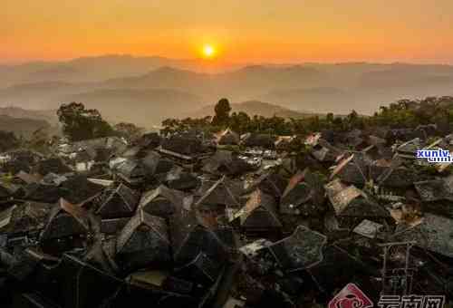 老班章村的民族构成及其文化特色：探索这个云南山村的多元民族融合