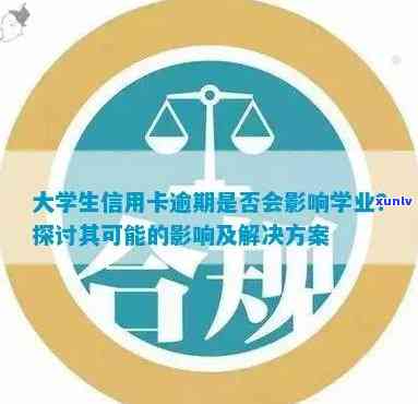 信用卡逾期可能影响大学生录取，学校研究后决定取消相关录取