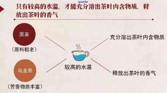 普洱熟茶冲泡水的科学选择与对品质的影响分析