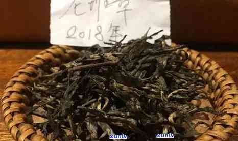 82年老班章普洱茶价格及年代对比：从80年代到08年的茶叶价值解析