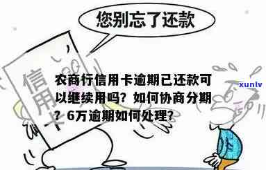 农商行信用卡逾期6万如何处理？可能的解决方案和影响全解析