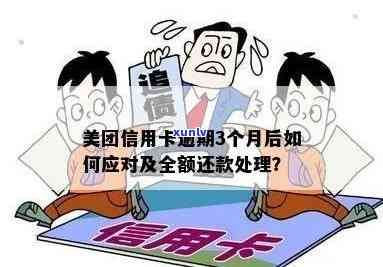 如何避免美团信用卡逾期并进行还款？