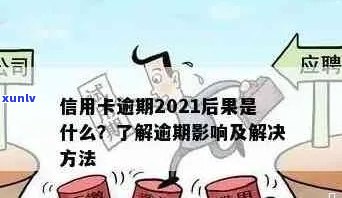 普洱茶：刚中带柔的独特韵味及其品尝技巧