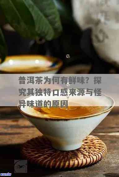 '为什么普洱有股好怪味：探究普洱茶的特殊味道及其原因'