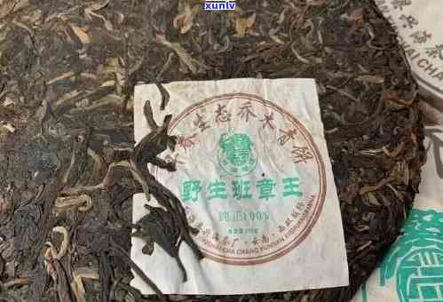 兴海老班章茶王雀