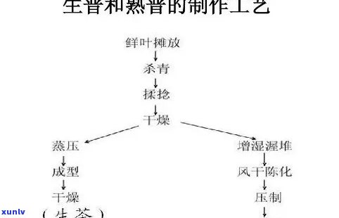 普洱熟茶发酵工艺的种类、特点及重要作用研究