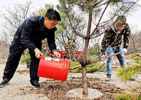 '陕西翡翠原石价格行情：最新走势，种类齐全，你想知道的都在这里！'