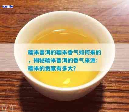 揭秘糯米普洱的香气之谜：一款令人回味无穷的独特茶饮