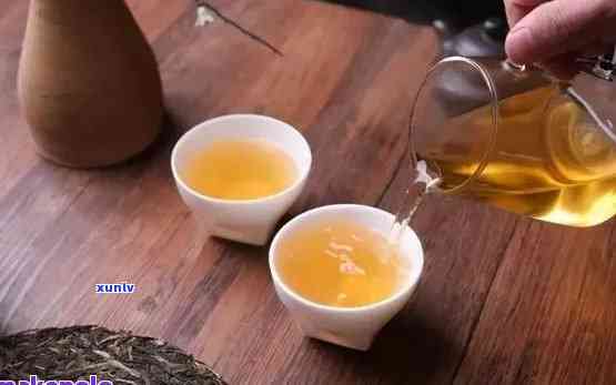 全面指南：如何正确泡制普洱茶，从选茶到品茗的完整过程