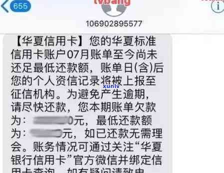 黑冰翡翠价值与价格解析：一条多少钱？收藏意义何在？