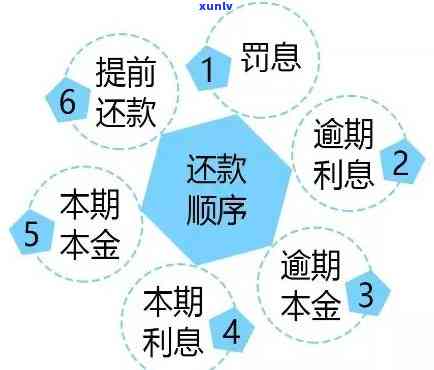 信用卡逾期：利息、还款与本金的关系解析