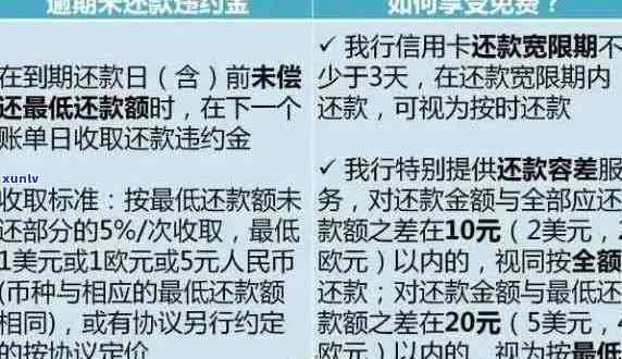 建设银行信用卡逾期还款攻略：解决信用问题的关键步骤