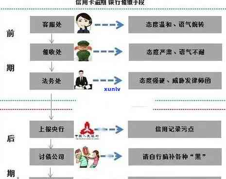 信用卡逾期半年的流程