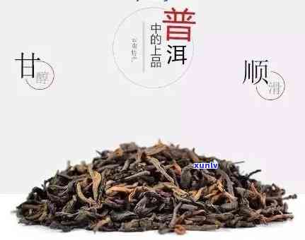 普洱熟茶选哪个牌子