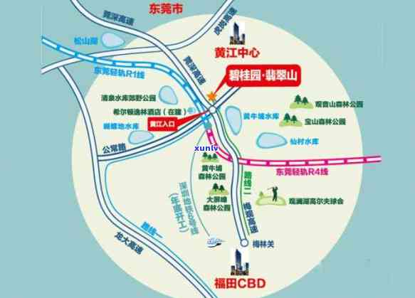 揭秘陕西汉中玉石市场：翡翠原石交易价格波动大，你知道吗？