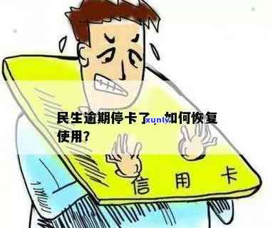 民生信用卡逾期后被停用，如何恢复使用以及避免逾期再次发生？