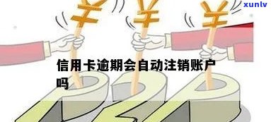 信用卡逾期还款后，是否会自动注销账户？