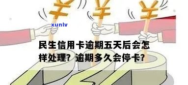 民生信用卡逾期停卡时间解析：影响因素全面剖析