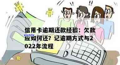 2022年信用卡逾期还款政策详解：最新处理流程与步骤