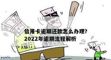 2022年信用卡逾期还款政策详解：最新处理流程与步骤