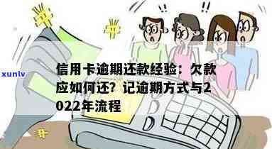 2022年信用卡逾期还款最新政策详解：处理步骤与流程全解析