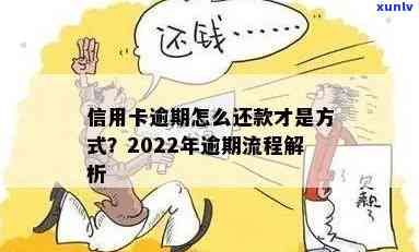 2022年信用卡逾期还款最新政策详解：处理步骤与流程全解析