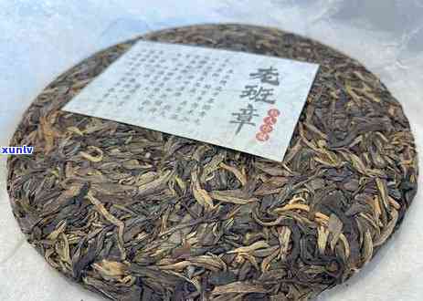 800年历老班章茶树：神秘的存在与普洱茶魅力探讨