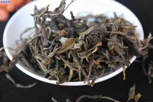 百年古树茶老班章：价格、种类、品质及泡法全方位解析