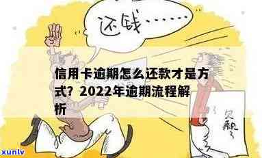 2022年信用卡逾期还款全攻略：详细流程、影响与解决方案一文解析