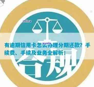 建行信用卡逾期个性分期还款攻略：如何选择合适的还款方案并按时还款？