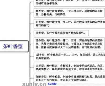 探究普洱茶的独特气味及其成因