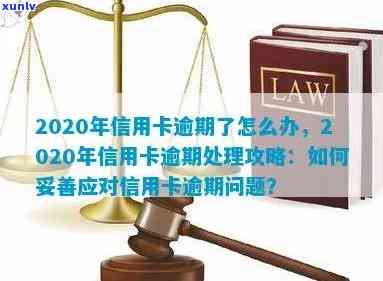 2020年逾期信用卡处理全解析：信用建设的关键标准与应用