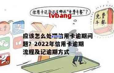 2022年信用卡逾期政策解读：最全还款步骤与处理流程详解