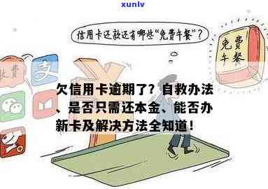 全面解决信用卡逾期问题：自救指南与实用建议