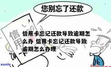 逾期信用卡卡号找回全攻略：忘记、查询、解决、信用、资讯一次搞定