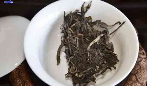 探索老班章茶的泡法、功效与口感：一篇全面的品鉴指南