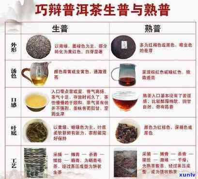 探究老班章茶的傣语名称及其与普洱茶文化的关联