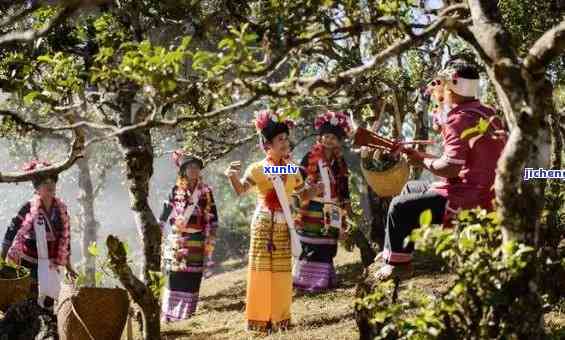 探究老班章傣语中的文化内涵：普洱茶与傣族传统的关系