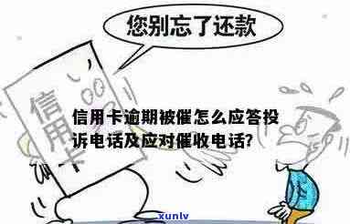 信用卡逾期问题求助：接到 *** ，该如何应对？