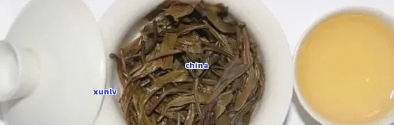 老班章散茶怎么冲泡