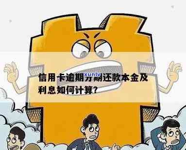 逾期一年的信用卡还款金额如何计算？本金、利息和滞纳金等相关费用一览