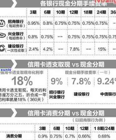 中信银行信用卡逾期还款策略与影响分析