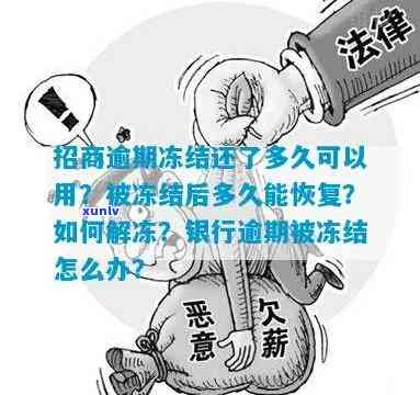 新招商银行信用卡逾期冻结解冻全攻略，如何恢复信用并避免二次逾期！