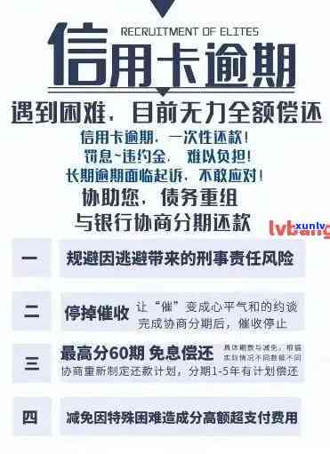 全面解析：老庙黄金翡翠吊坠的品质、价格、选购与保养 *** 