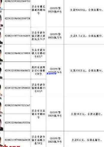 镇江信用卡逾期网上逃犯名单查询：完整网址及 *** 