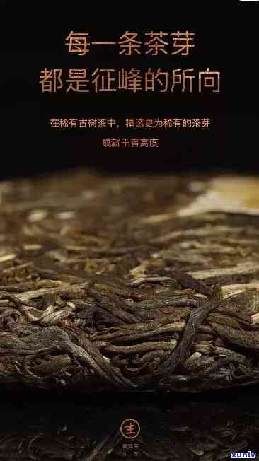 班章古树红茶：一款源自老班章的醇厚普洱茶，品味非凡